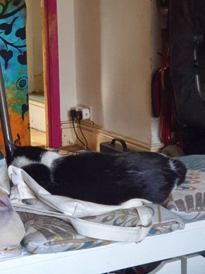 20200915_104306.jpeg