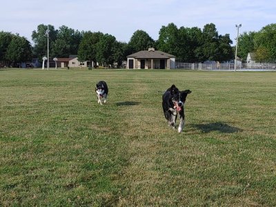 IMG_20200807_175924.jpeg