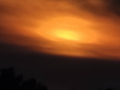 IMG_20201010_193519.jpg