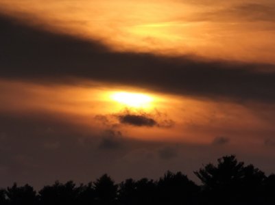 IMG_20201010_193300.jpg