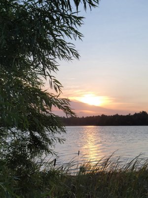 IMG_20201010_193742.jpg