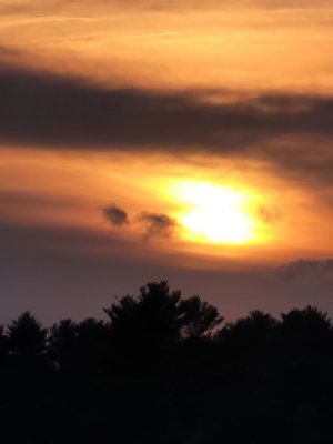 IMG_20201010_193355.jpg