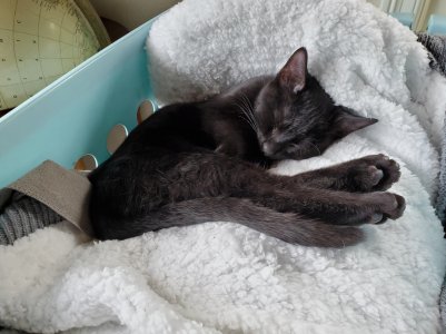 20200915_144415.jpg