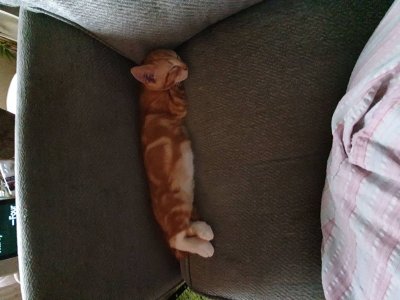 IMG-20200916-WA0004.jpeg