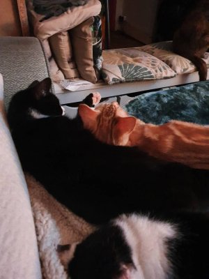 20201013_022246.jpeg