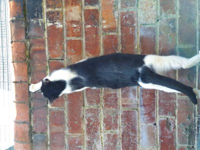 20200918_130216.jpeg