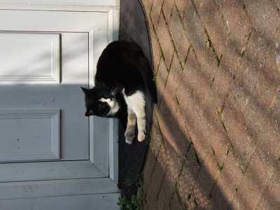 20200918_130147.jpeg
