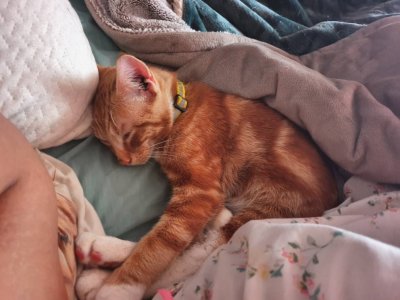 20201223_233246.jpeg