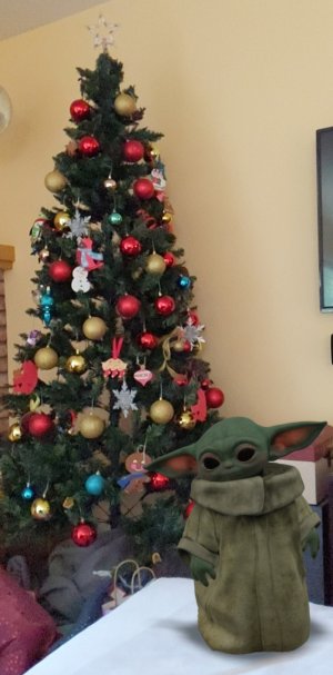 IMG_20201224_120849.jpg