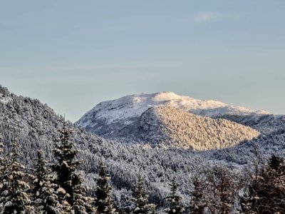 20201225_115209.jpeg