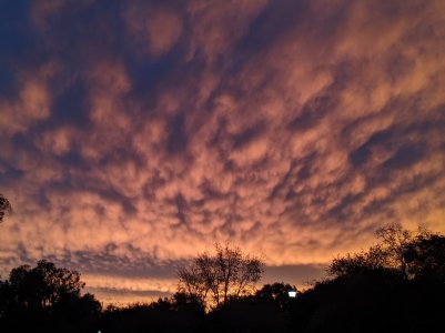 PXL_20201225_151601999.jpg