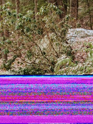 original_34e28fc7-d5e4-4601-af25-eaf0c51c0311_PXL_20201229_150402519.jpg