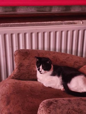 20210102_052913.jpeg