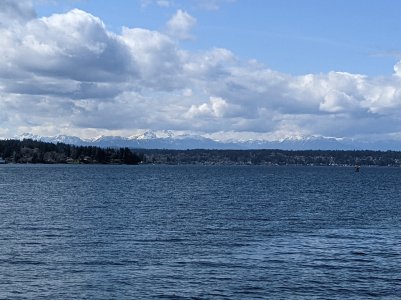 PXL_20210408_215339076-.jpg
