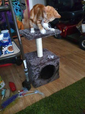 20201020_134142.jpeg