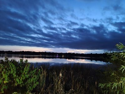 IMG_20201020_143554.jpeg