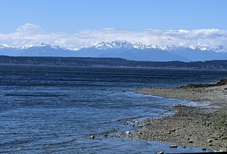 PXL_20210412_211918712r.jpg