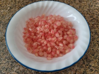 20201018_125917.jpg