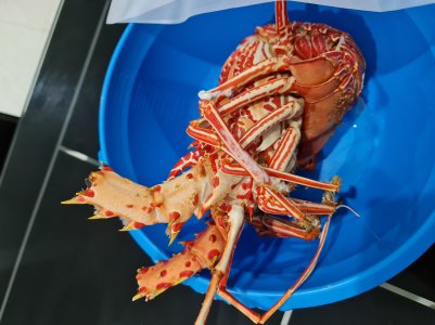 20201231_212717.jpg