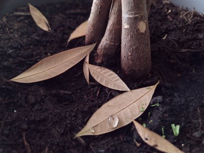 20201007_113949.jpg