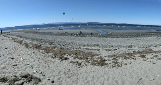 PXL_20210414_212320751.PANO-.jpg