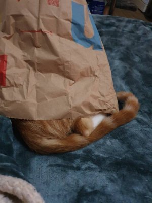 20201022_201408.jpeg