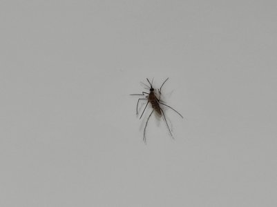 20210106_171931.jpg