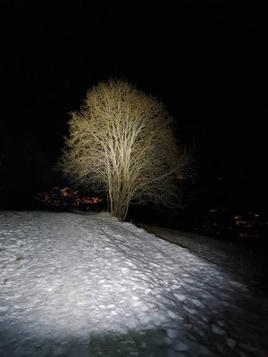 20210106_190820.jpeg