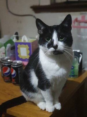 20201022_214607.jpeg