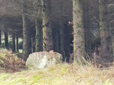 122454252_3255263931263497_6453524701614559859_o.jpg 122454252_3255263931263497_6453524701614559859_o.jpg