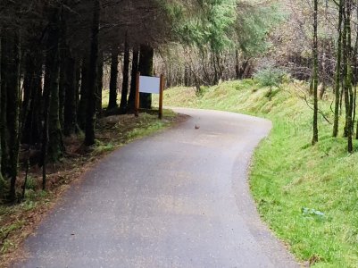 122524429_3255263941263496_5964387000442478587_o.jpg 122524429_3255263941263496_5964387000442478587_o.jpg