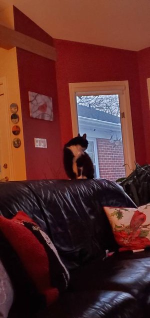 20210109_171957.jpeg
