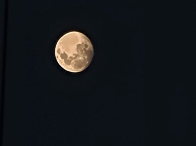 20210326_193112.jpg