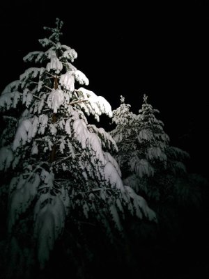 20210111_174203.jpeg