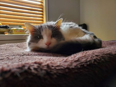 20201021_132835.jpeg