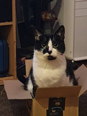 20210110_180712.jpeg