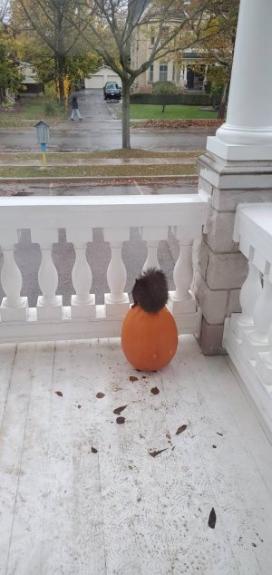 20201027_174413.jpeg