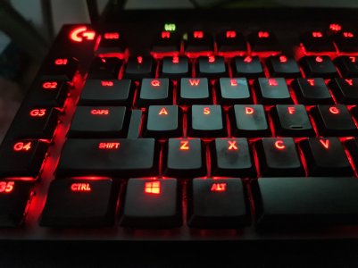 20201029_011955.jpg