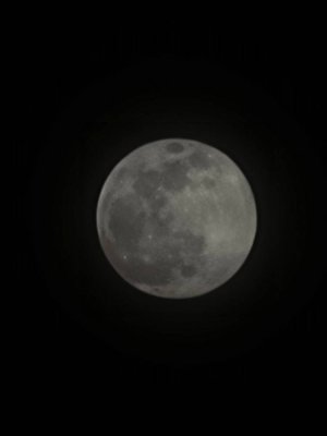 20210426_201713.jpg