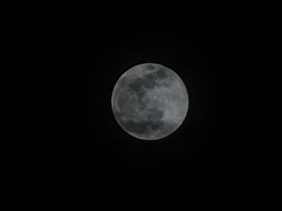 20210426_205953.jpg