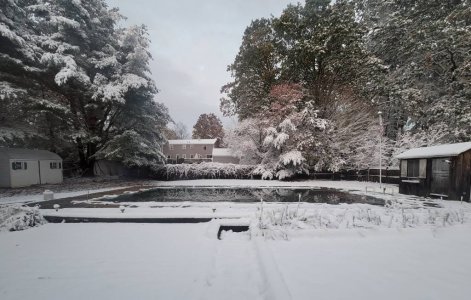 IMG_20201030_181856.jpeg