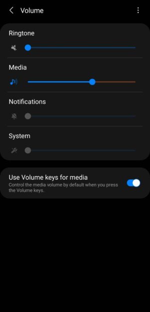 Screenshot_20210428-200642_Settings.jpg