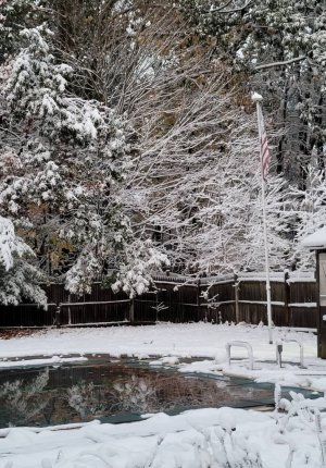 IMG_20201030_181755.jpeg