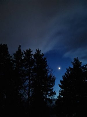20210118_171934.jpeg