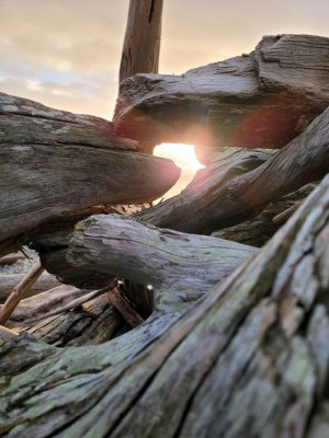 20210117_161403.jpeg