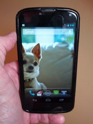 coco Nexus 4.jpg