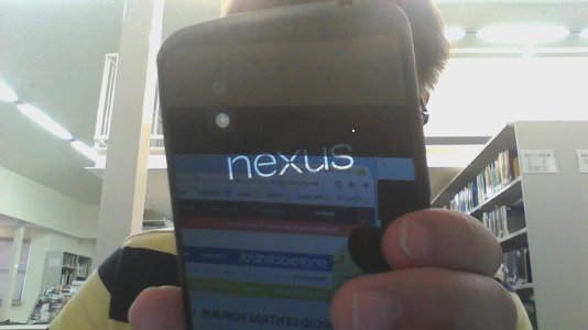n4.jpg