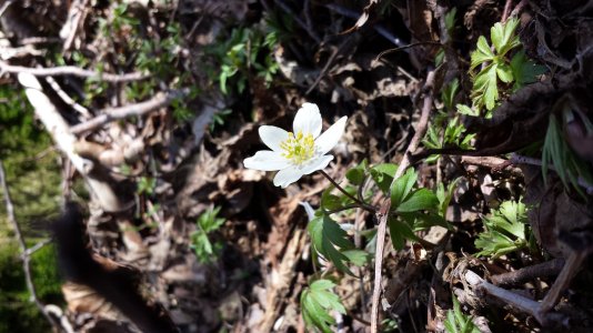 20130501_153213.jpg