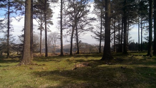 2013-05-01 15.45.03-1.jpg