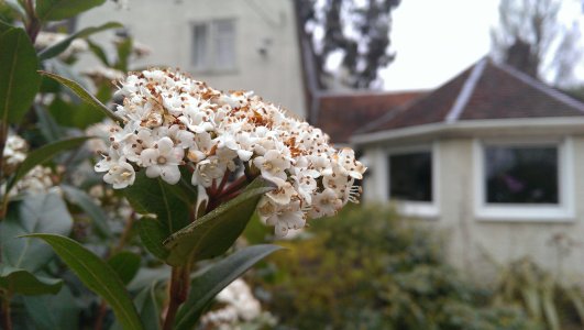 2013-04-28 13.47.08.jpg